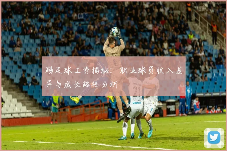 踢足球工资揭秘：职业球员收入差异与成长路径分析