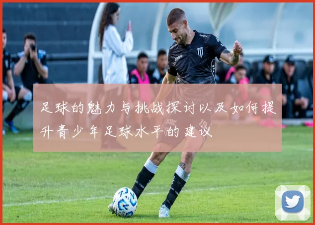 足球的魅力与挑战探讨以及如何提升青少年足球水平的建议