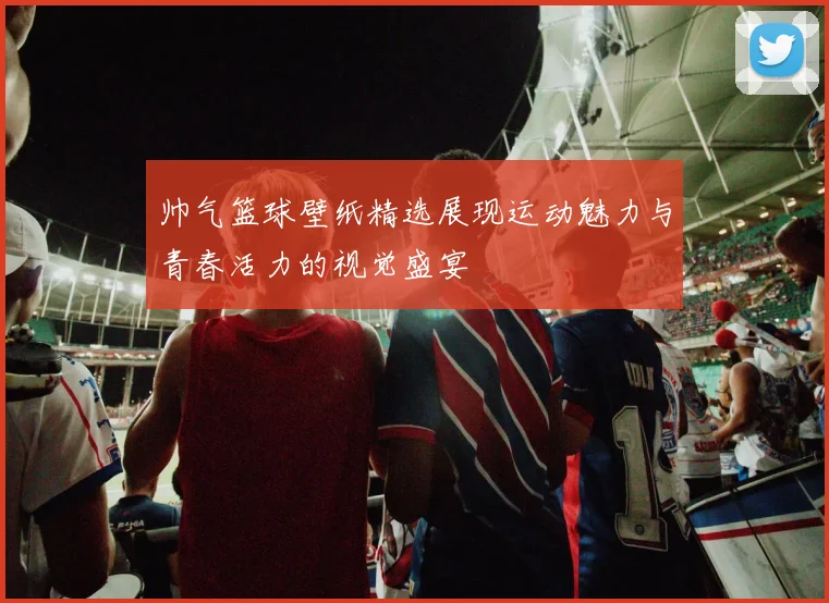 帅气篮球壁纸精选展现运动魅力与青春活力的视觉盛宴
