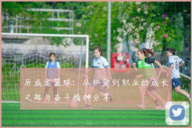 厉成龙篮球：从热爱到职业的成长之路与奋斗精神分享