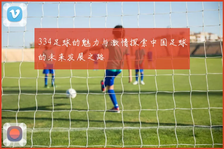 334足球的魅力与激情探索中国足球的未来发展之路