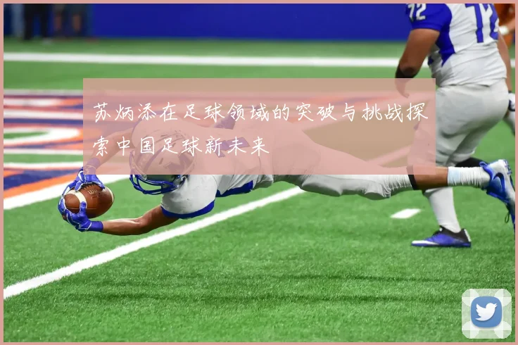 苏炳添在足球领域的突破与挑战探索中国足球新未来