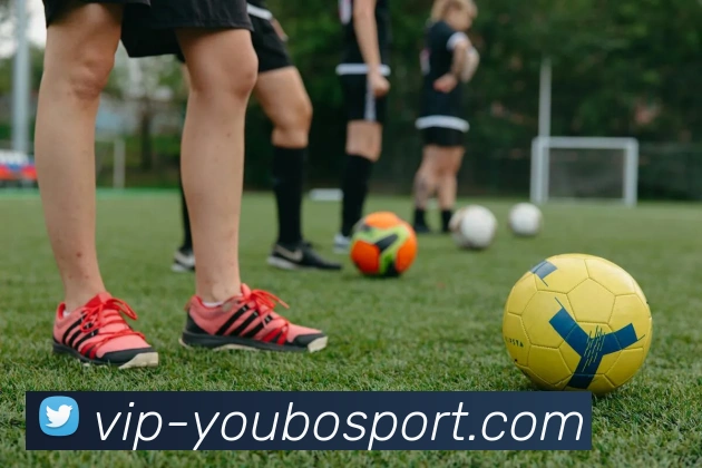 友博体育平台生态图