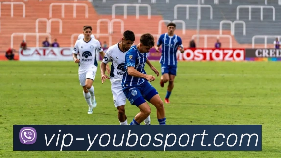 友博体育全站App